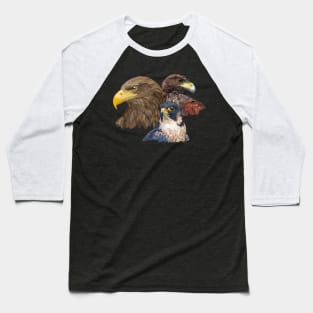 Pigargo and Falcons Baseball T-Shirt